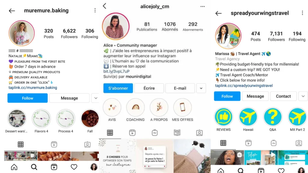 como debe verse una biografia de instagram